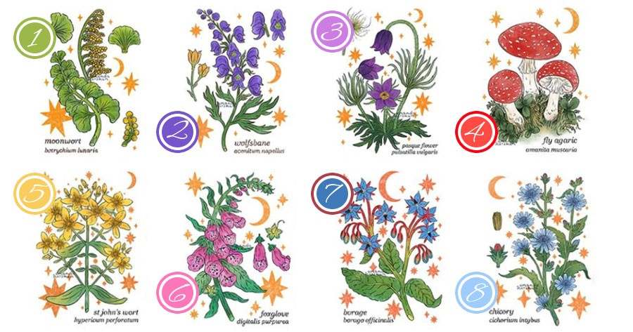 Choose A Flower To Test Your Love Fortune