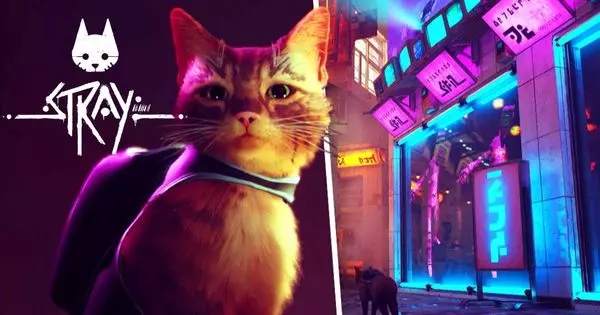 Embrace Your Inner Cat Being By Choosing All Your Favorite Scenes In “Stray” Game